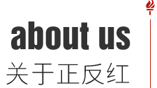 關于正反紅