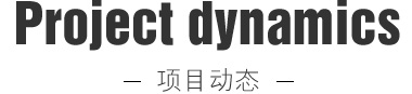 項目動態